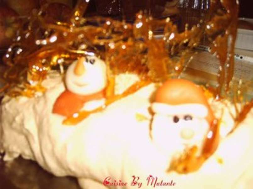 Bûche caramel à la fleur de sel (ma merveilleuse bûche de Noël!), photo 1