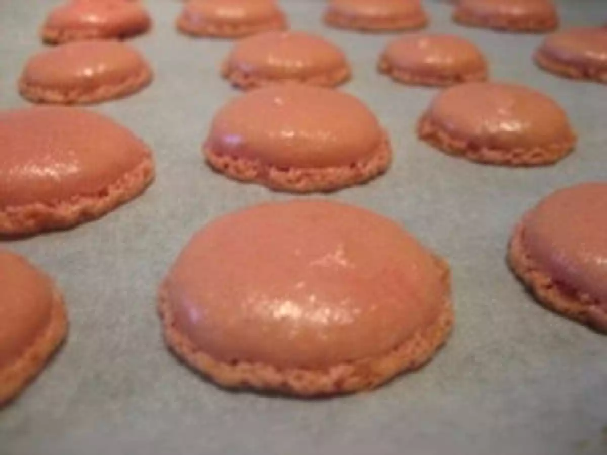 Bûche chocolat blanc framboises - photo 5