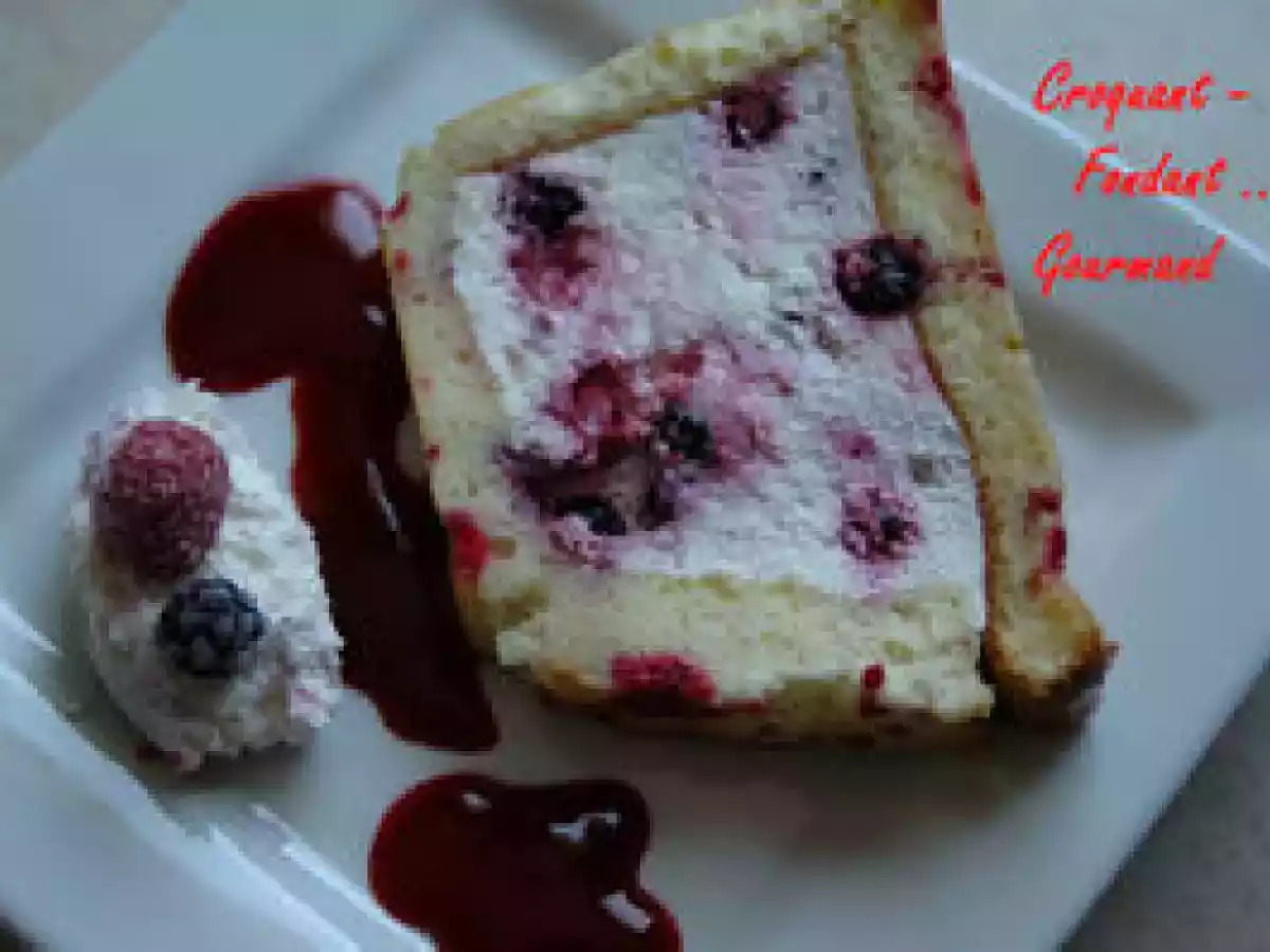 BÛCHE D'ÉTÉ aux FRUITS ROUGES - photo 3