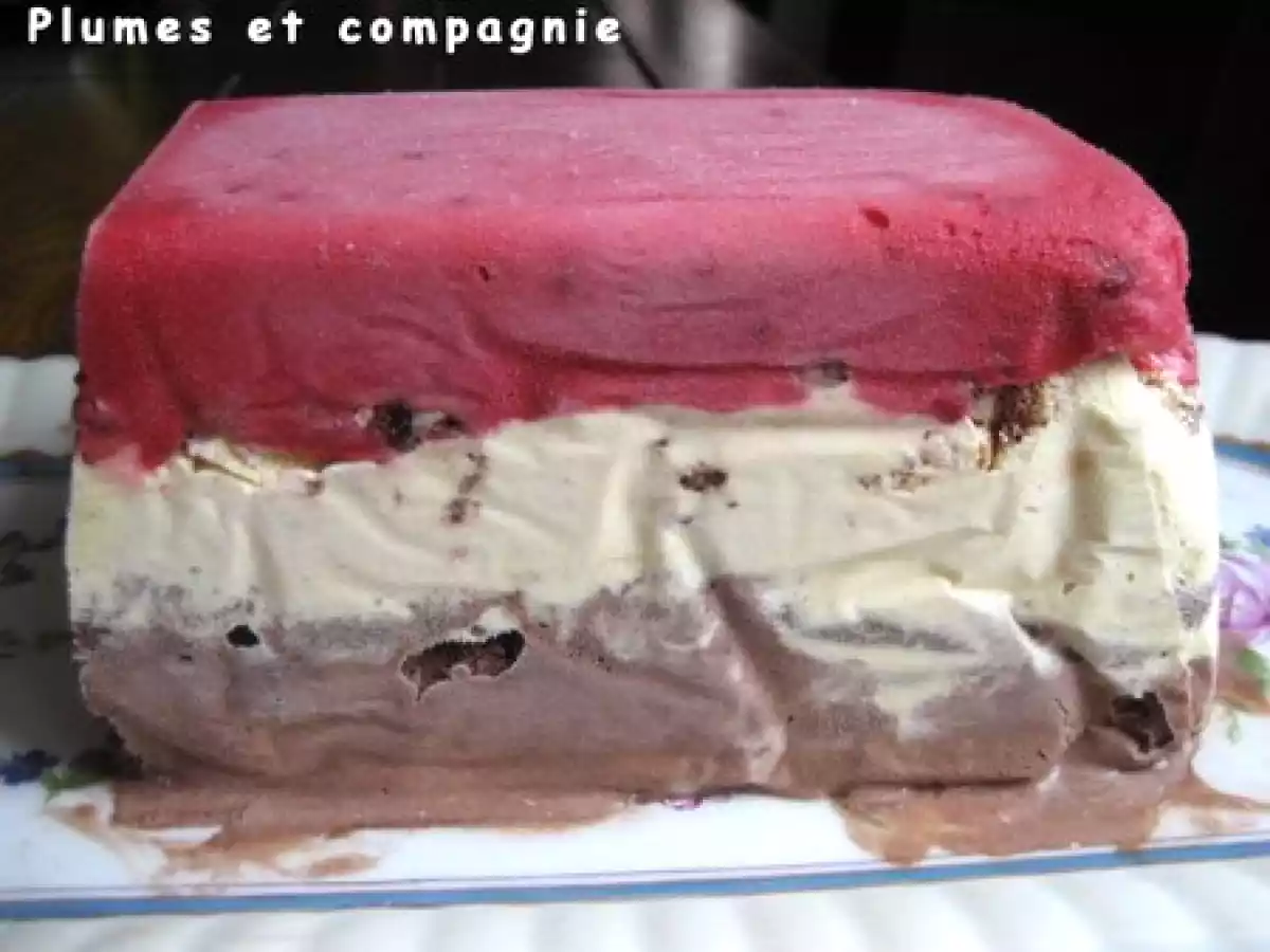 Bûche glacée meringuée chocolat, vanille et framboise