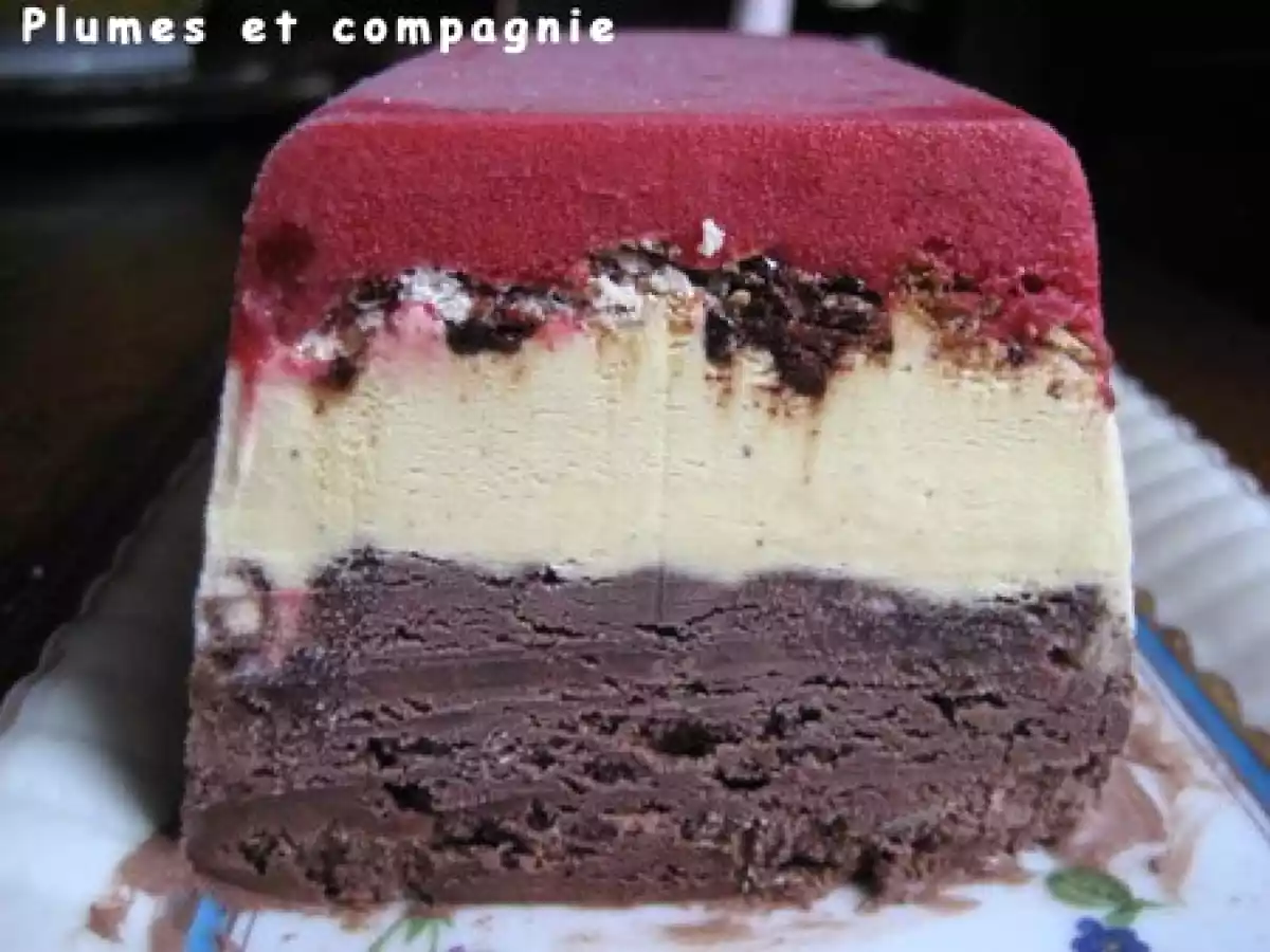 Bûche glacée meringuée chocolat, vanille et framboise - photo 2