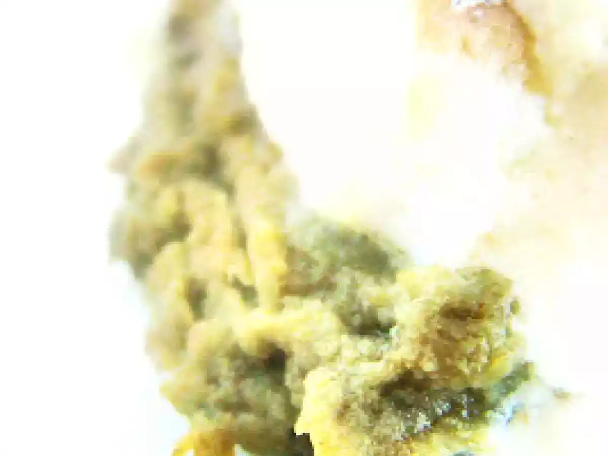 Cabillaud a la puree d'amandes et d'artichaut a la menthe - photo 4