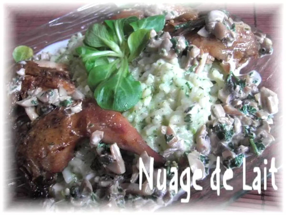 Cailles Rôties, Risotto au Pesto de Mâche et Crème aux Champignons