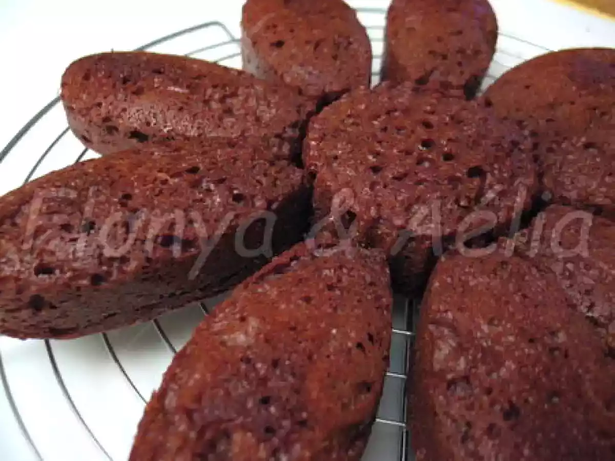 Cake au chocolat noir ..... façon weight watchers