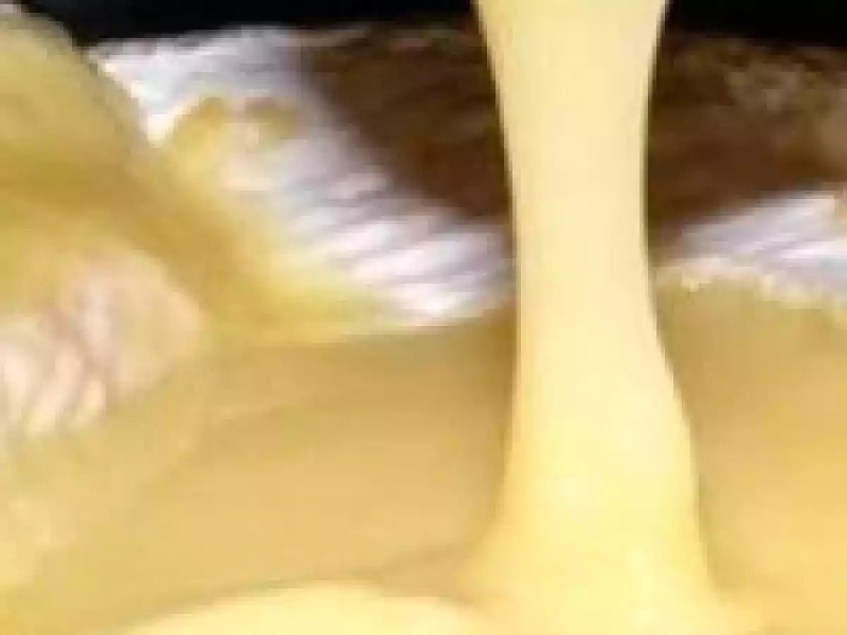 Camembert au génépi