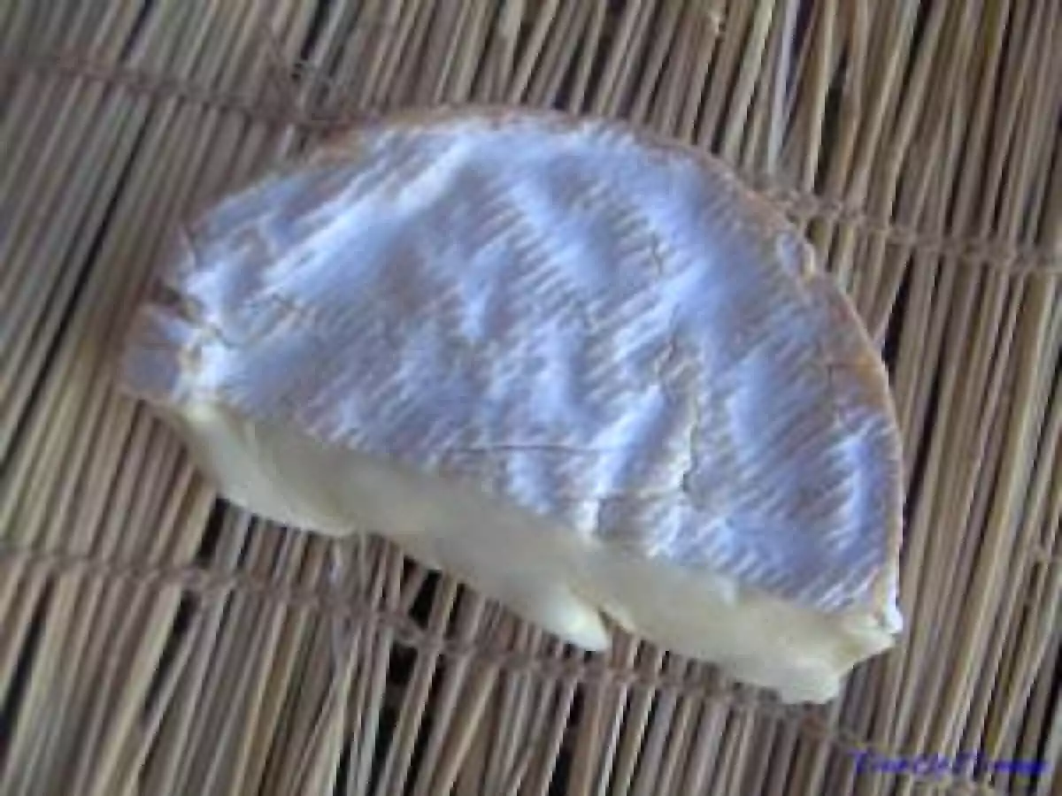 Canapés au Coulommiers et à la carotte