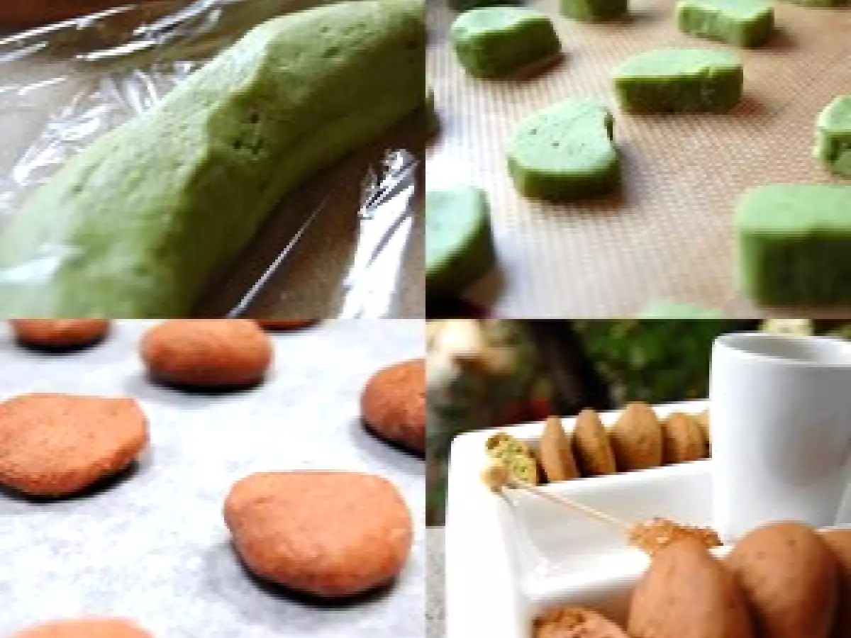 Canistrellis matcha ou chocolat ? - photo 6