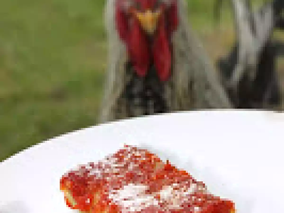 Cannelloni aux épinards et à la ricotta