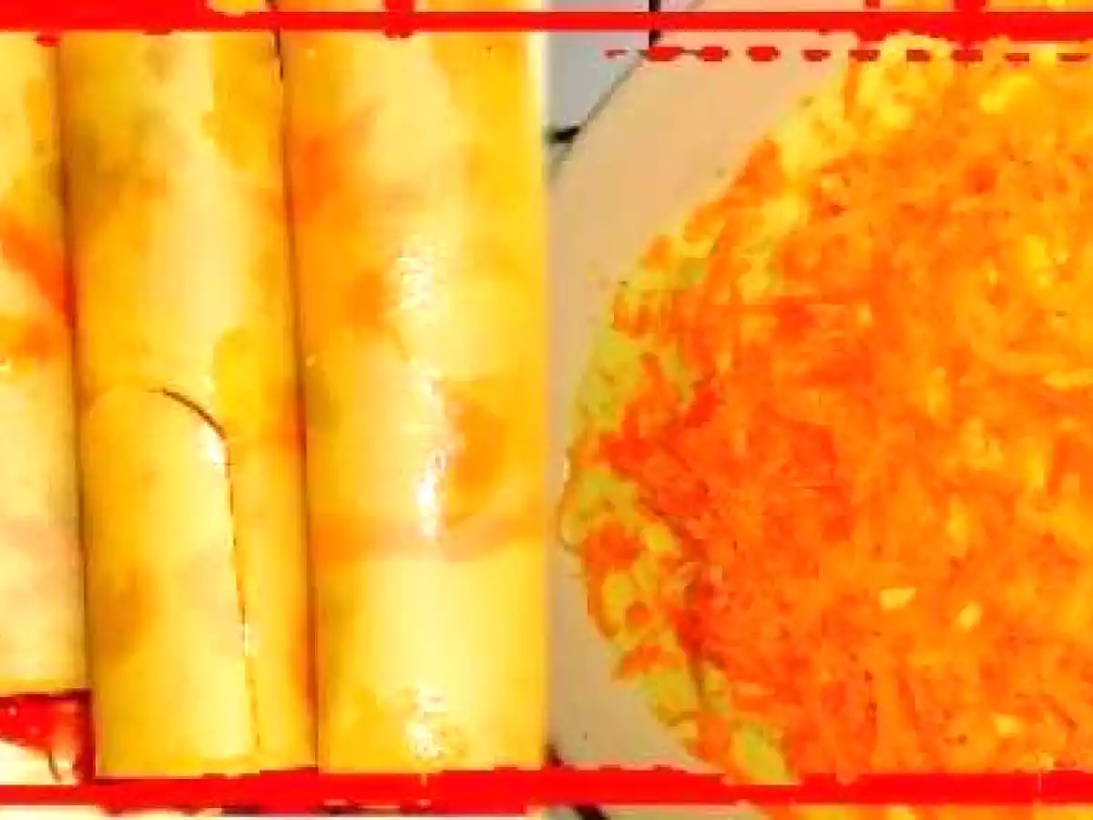 Cannelloni façon tacos - photo 5