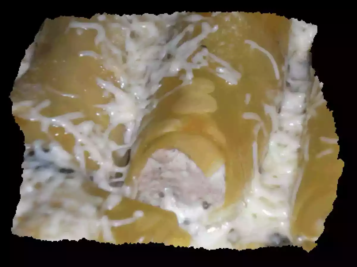 CANNELLONIS A LA DINDE ET AU ROQUEFORT