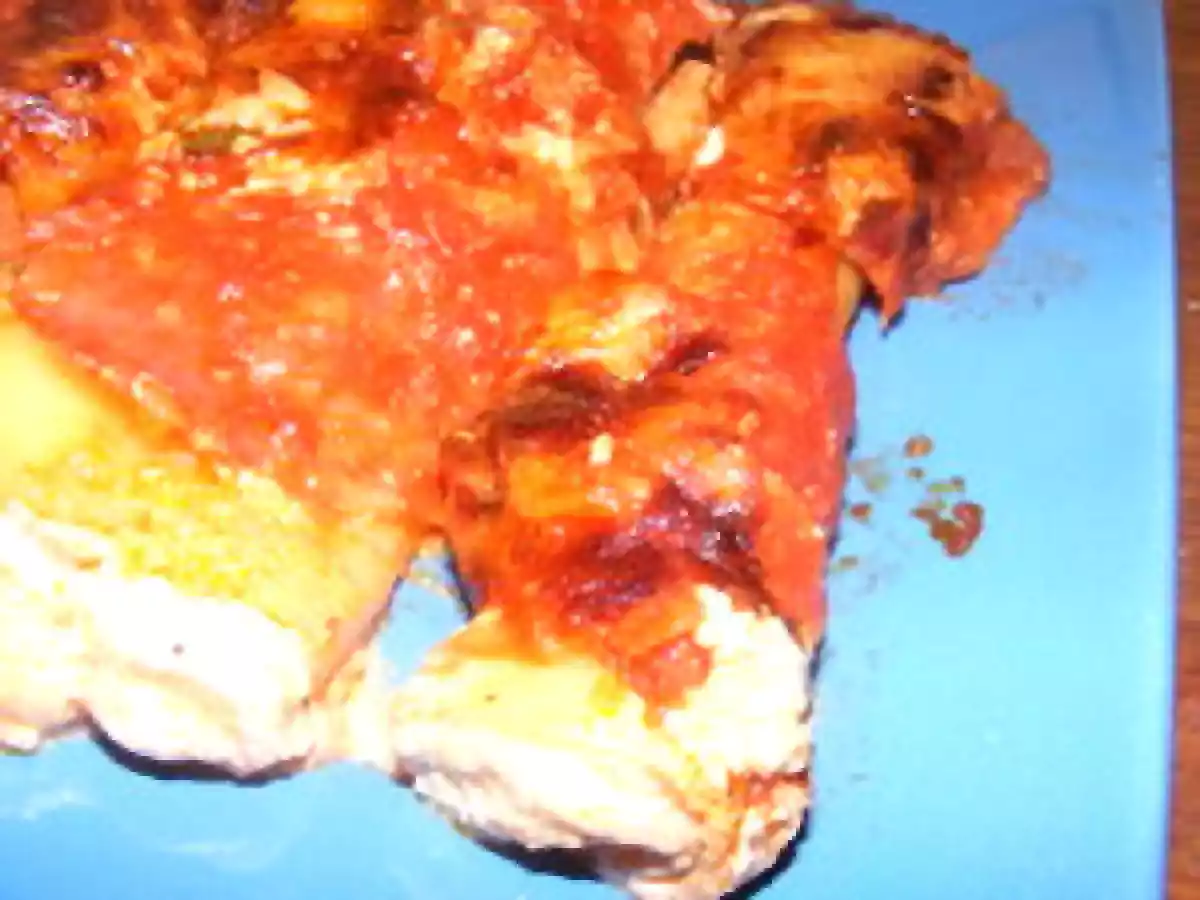 CANNELLONIS CHÊVRE-RICOTTA-CHORIZO - photo 4