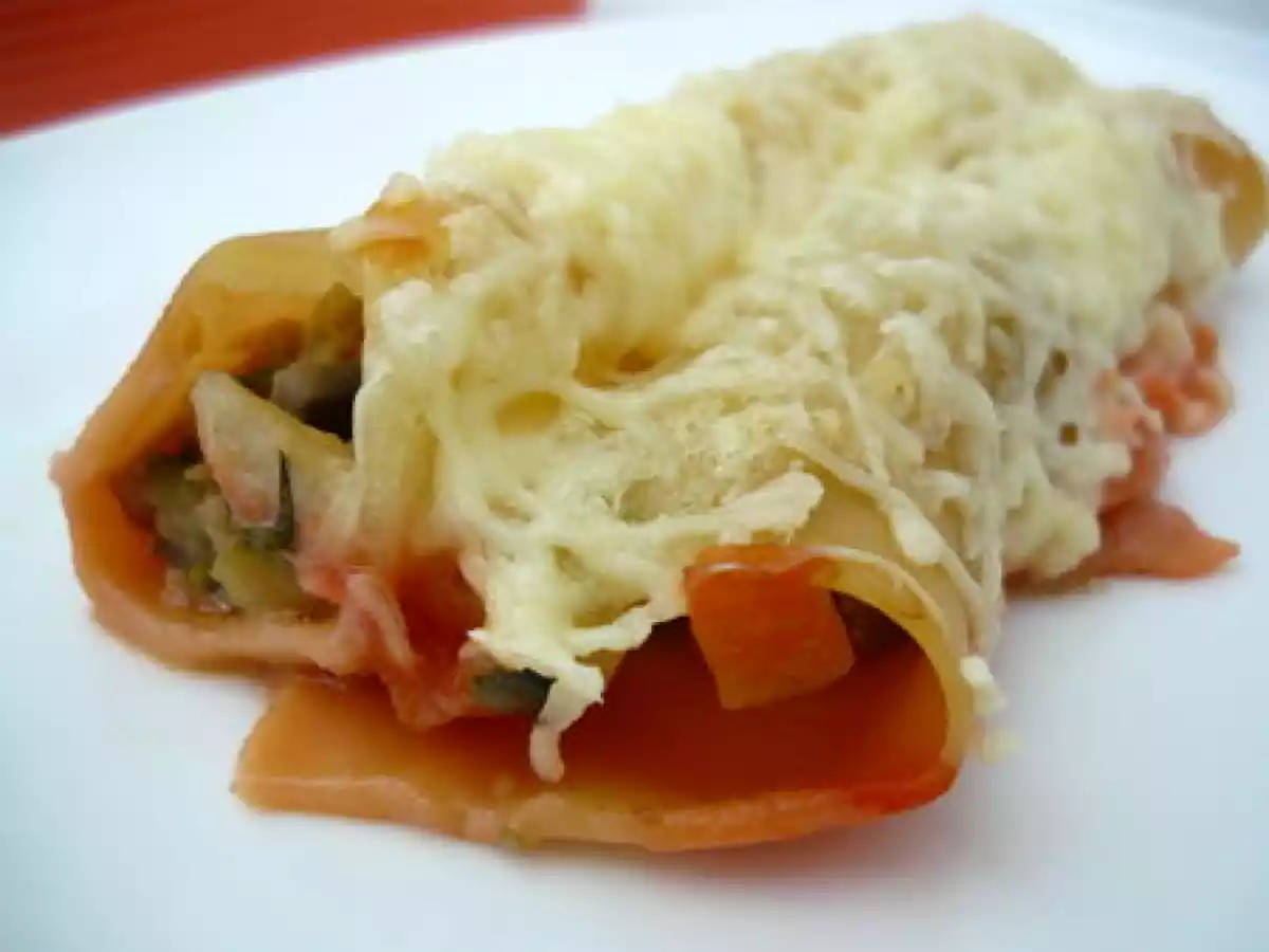 Cannellonis de poulet aux légumes de Sophie Dudemaine - photo 2