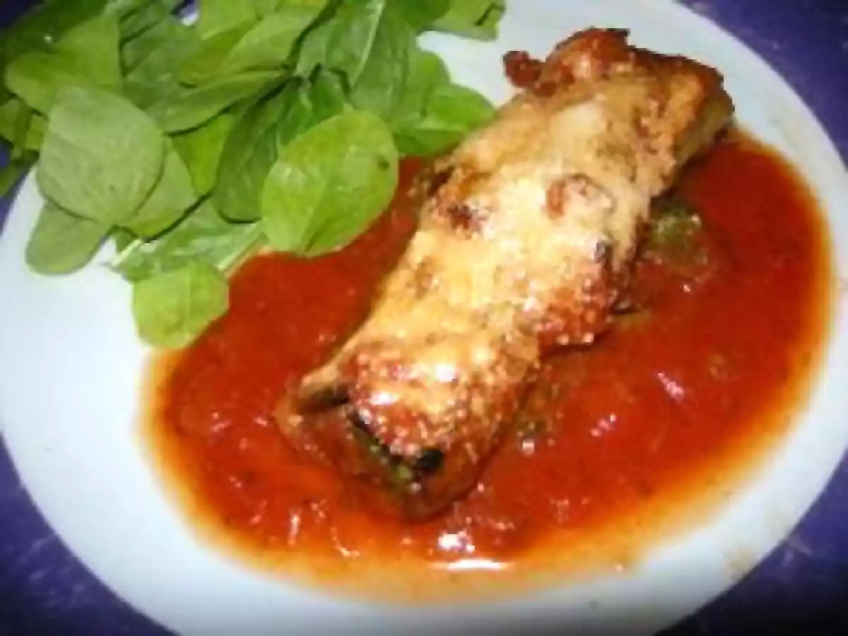 `Cannellonis Saumon Ricotta Epinards`