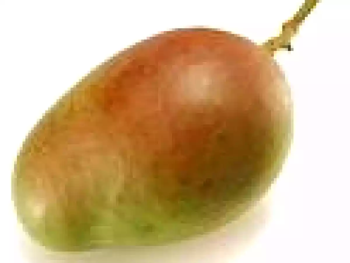 Carpaccio de Mangue aux Kiwis - photo 4