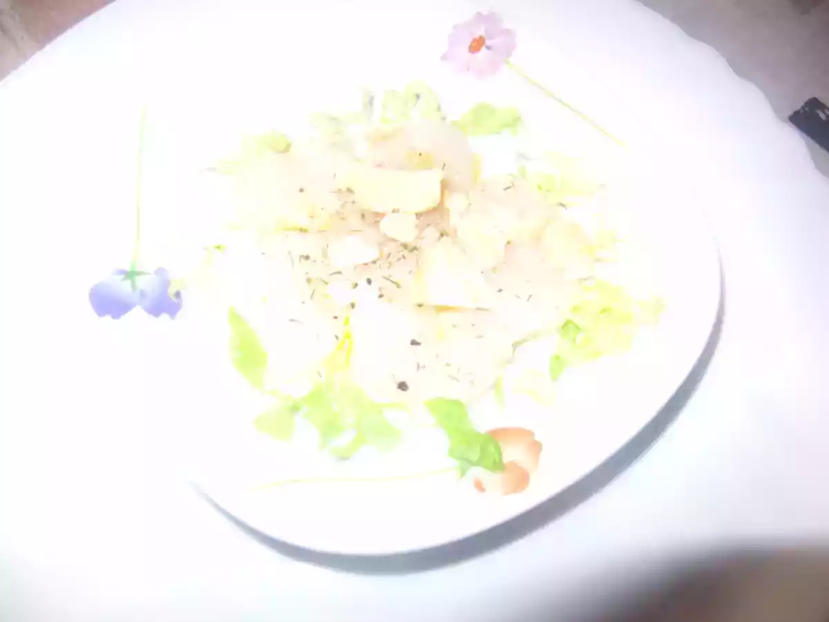 Carpacio de saint jacques