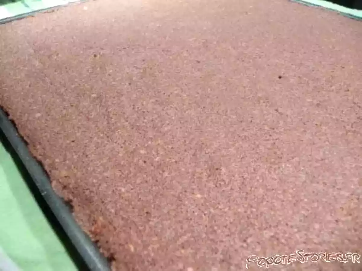 CARRES CHOCOLAT ET NOIX (BREDELE DE NOEL) ? RECETTE 3 - photo 3