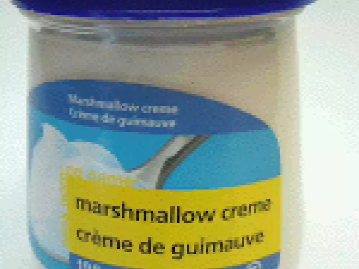 Carrés Smores à la guimauve - photo 3