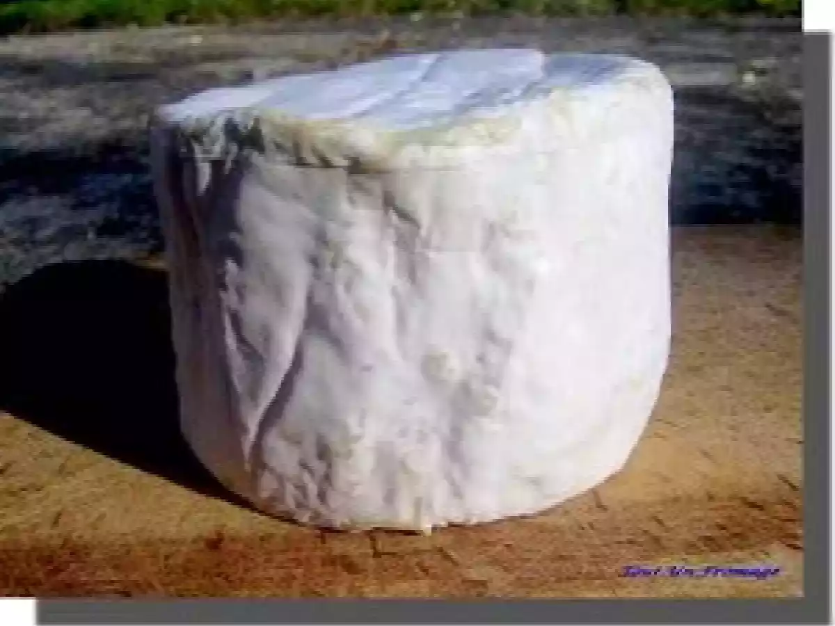 Champignons farcis au Chaource