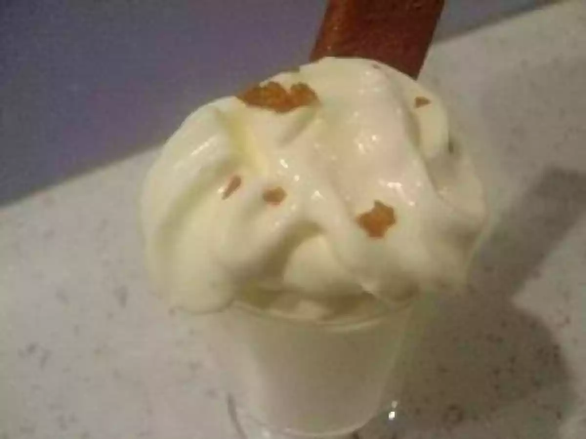 Chantilly à la créme Danette vanille