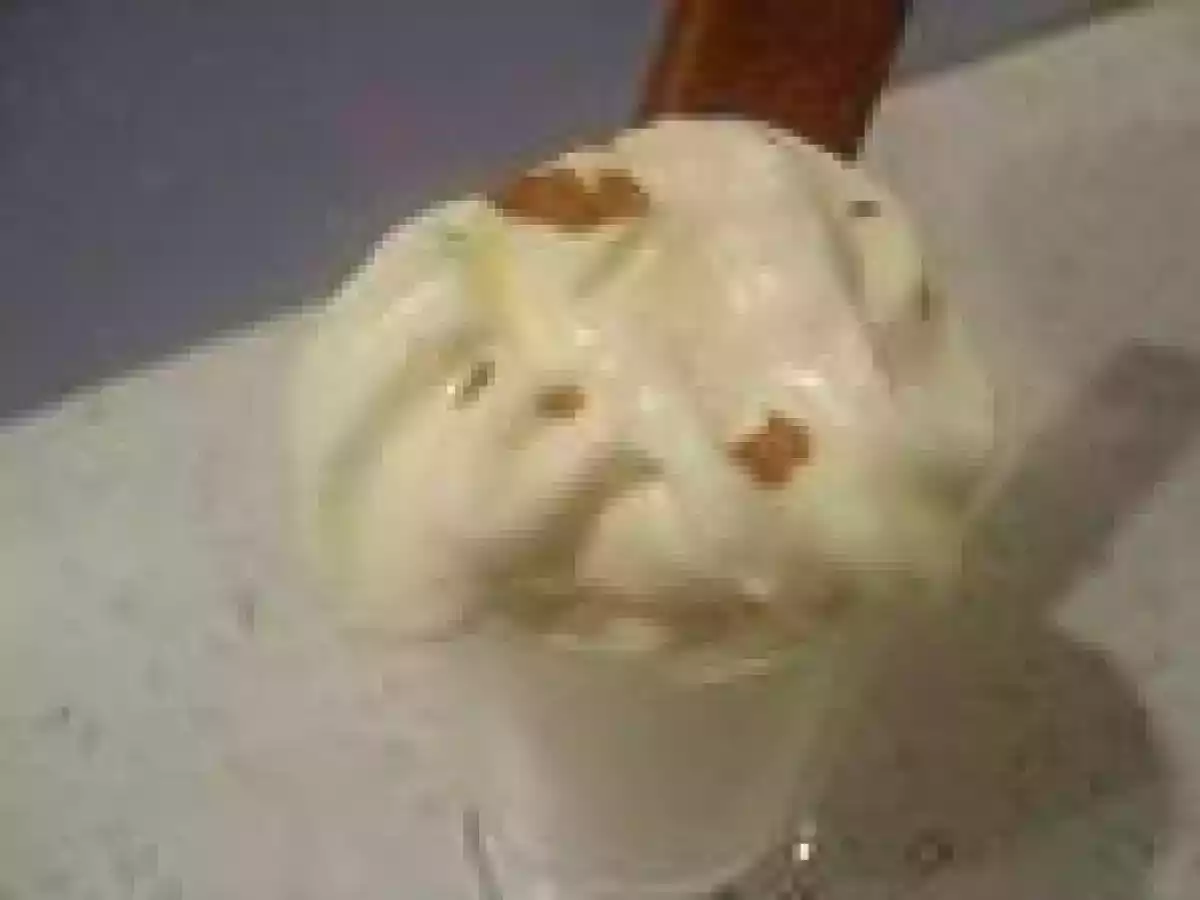 Chantilly à la créme Danette vanille - photo 2