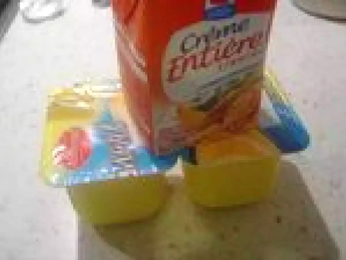 Chantilly à la créme Danette vanille - photo 5