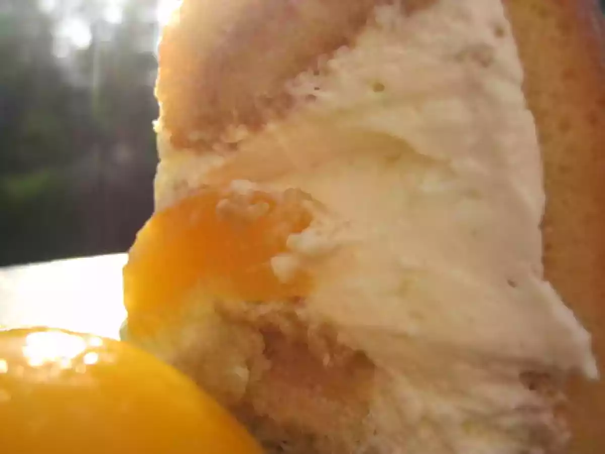 Charlotte Abricots Miel Romarin