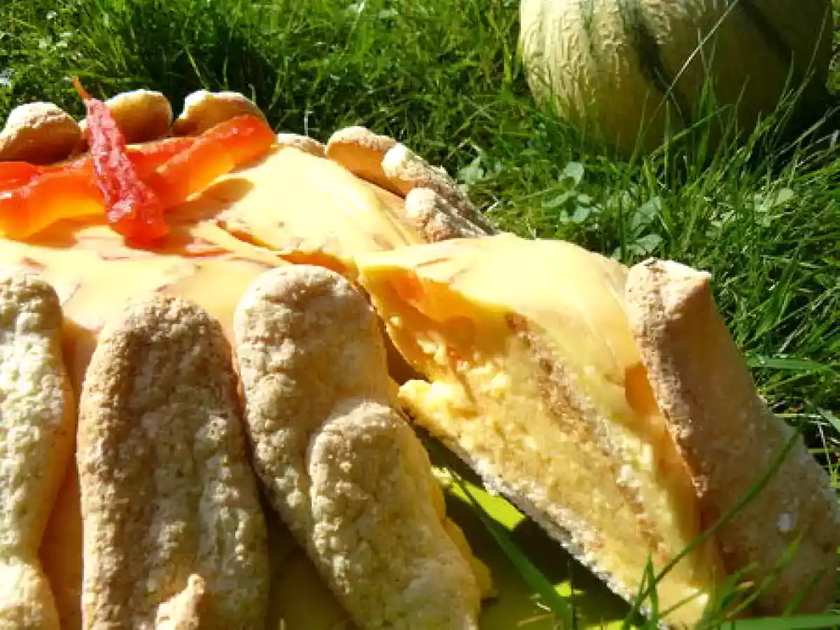 CHARLOTTE AU MELON - photo 3