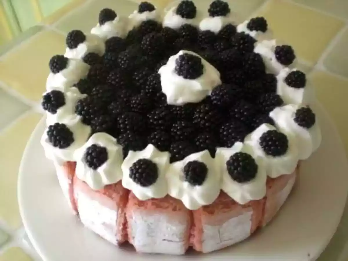 CHARLOTTE AUX MURES SAUVAGE