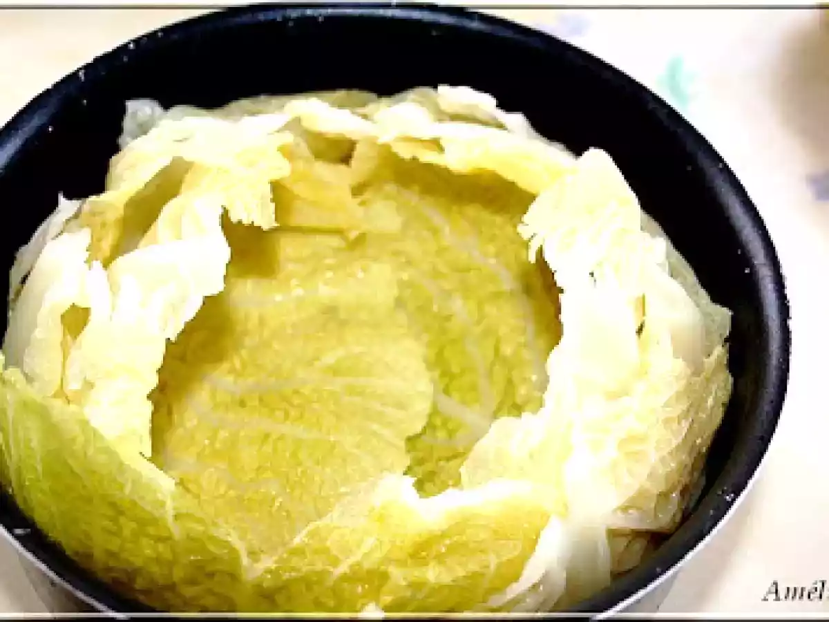 CHARLOTTE DE CHOU FARCI - photo 3