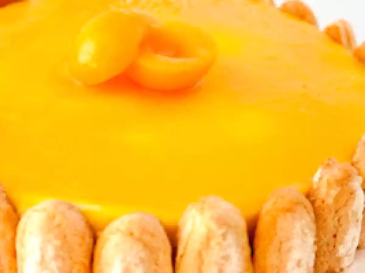 Charlotte mangue abricot