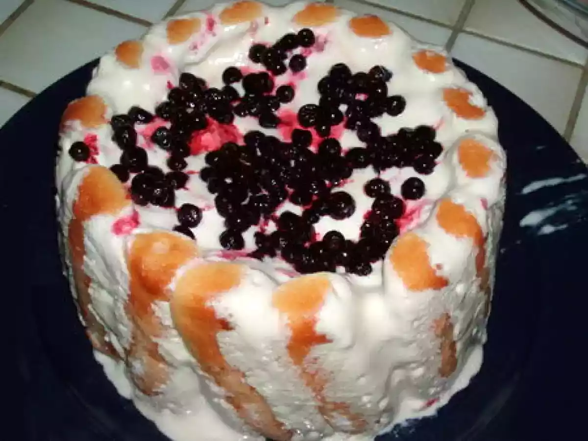 Charlotte-tiramisu klug !