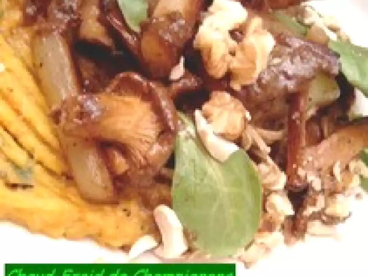 Chaud-Froid de Champignons en Salade de Scorsonères - photo 2