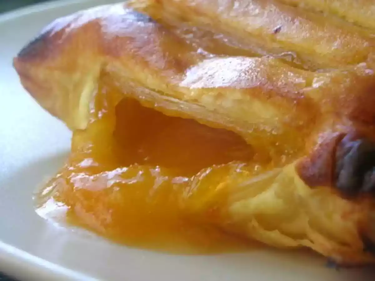 Chausson aux Abricots