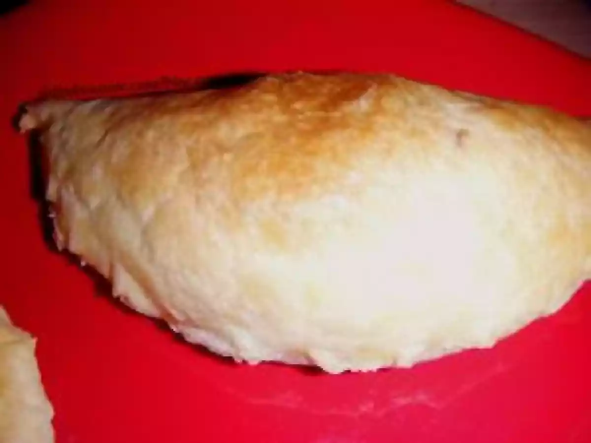 Chaussons au chèvre et à la tomate