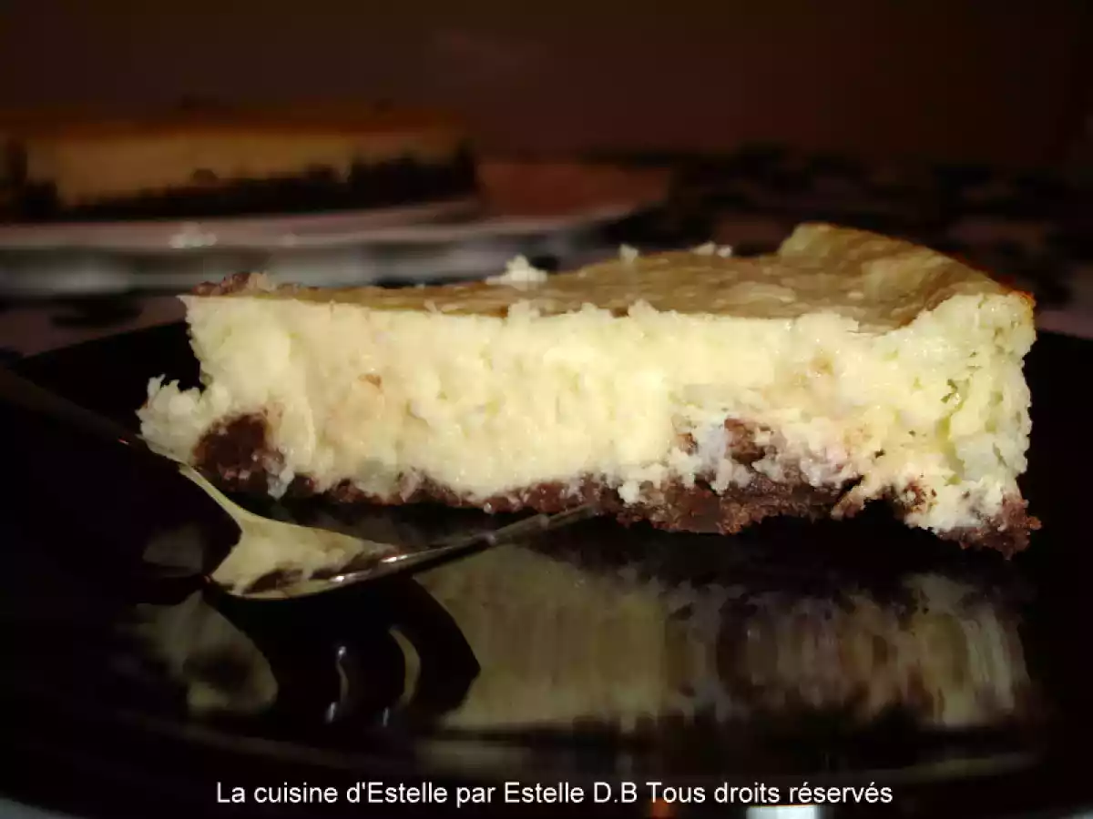 Cheesecake light au chocolat et à la noix de coco