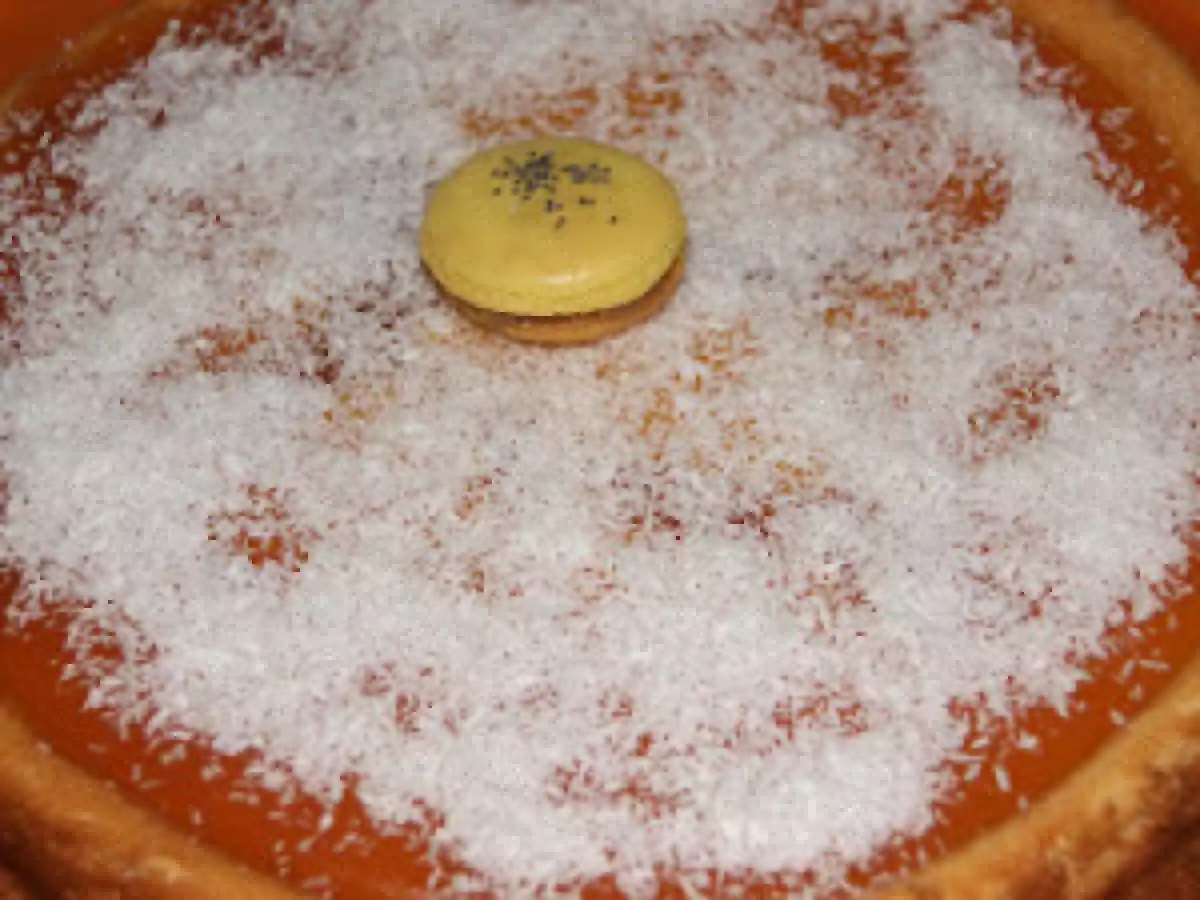 CHEESECAKE SPECULOOS/ABRICOT