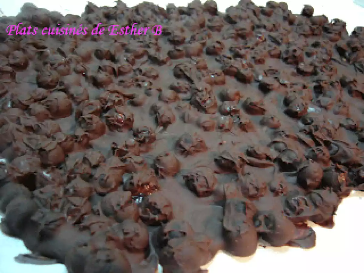 Chocolat aux bleuets - photo 2