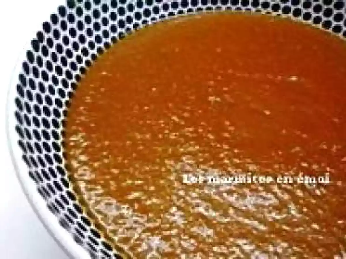 CHUTNEY AIGRE DOUX AU TAMARIN ET A LA TOMATE