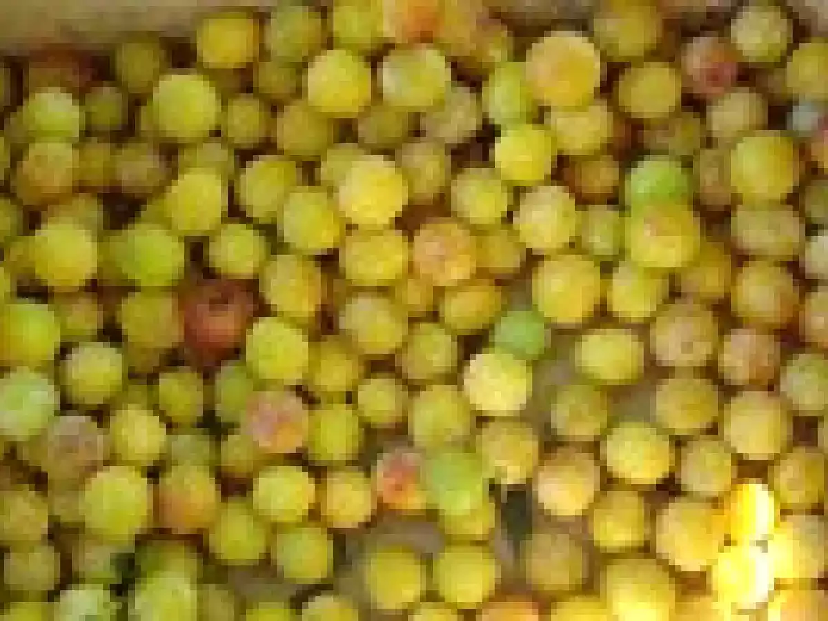 Chutney aux mirabelles - photo 3