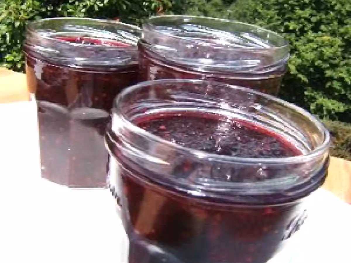 Chutney aux mûres et à l'Alma Mater - photo 3