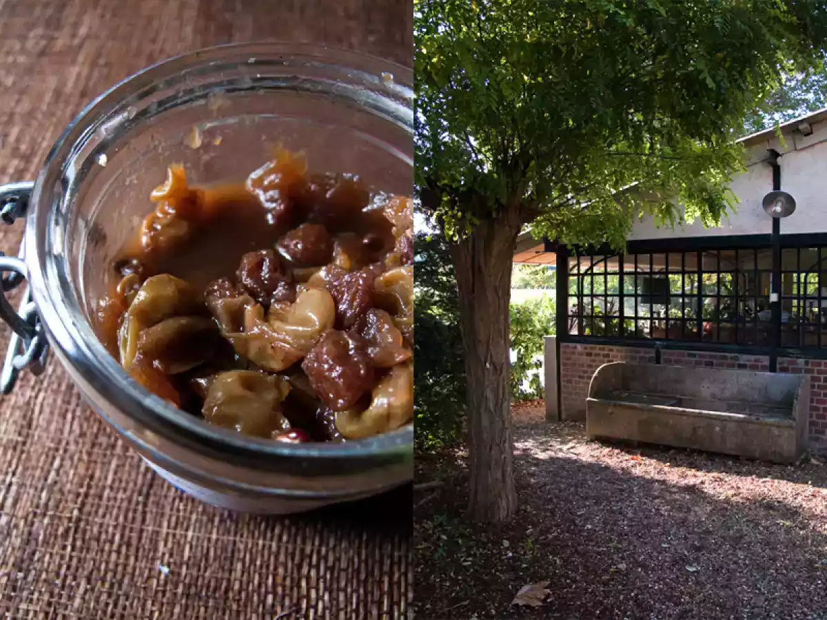 Chutney de raisin - photo 9