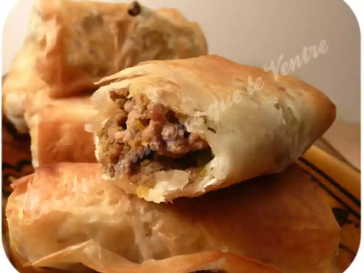 Cigares à la viande hachée (bourek à la viande) - photo 2