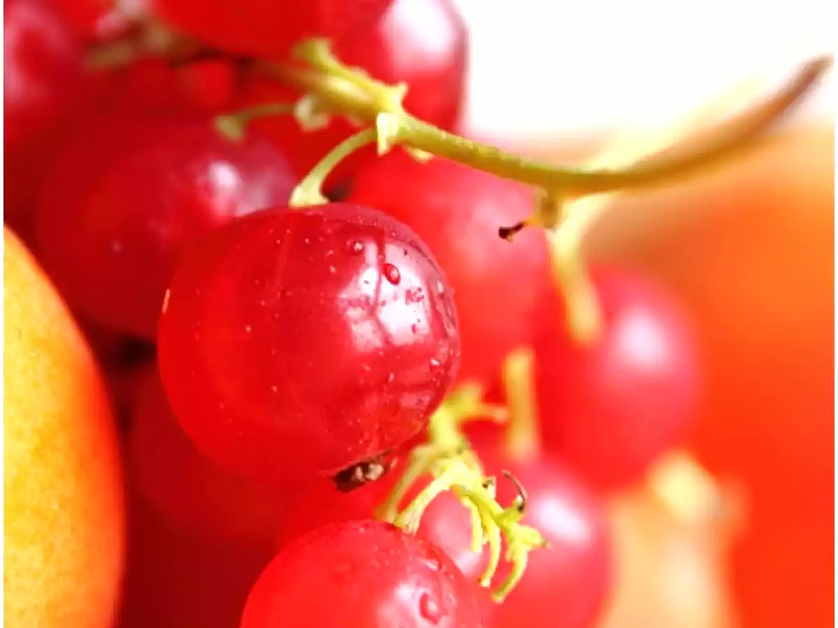 Clafoutis aux abricots et groseilles - photo 2