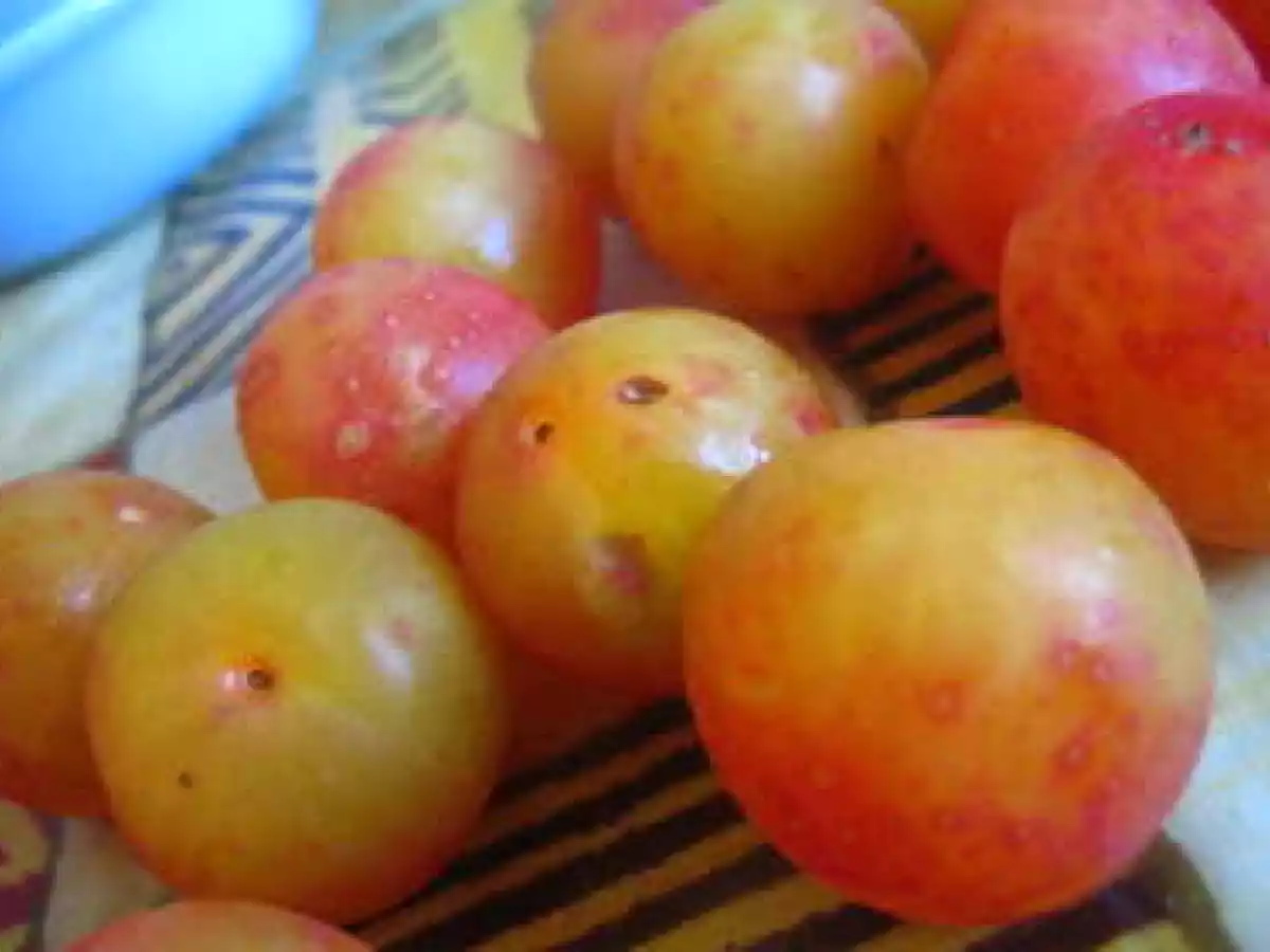 Clafoutis aux prunes du jardin - photo 2