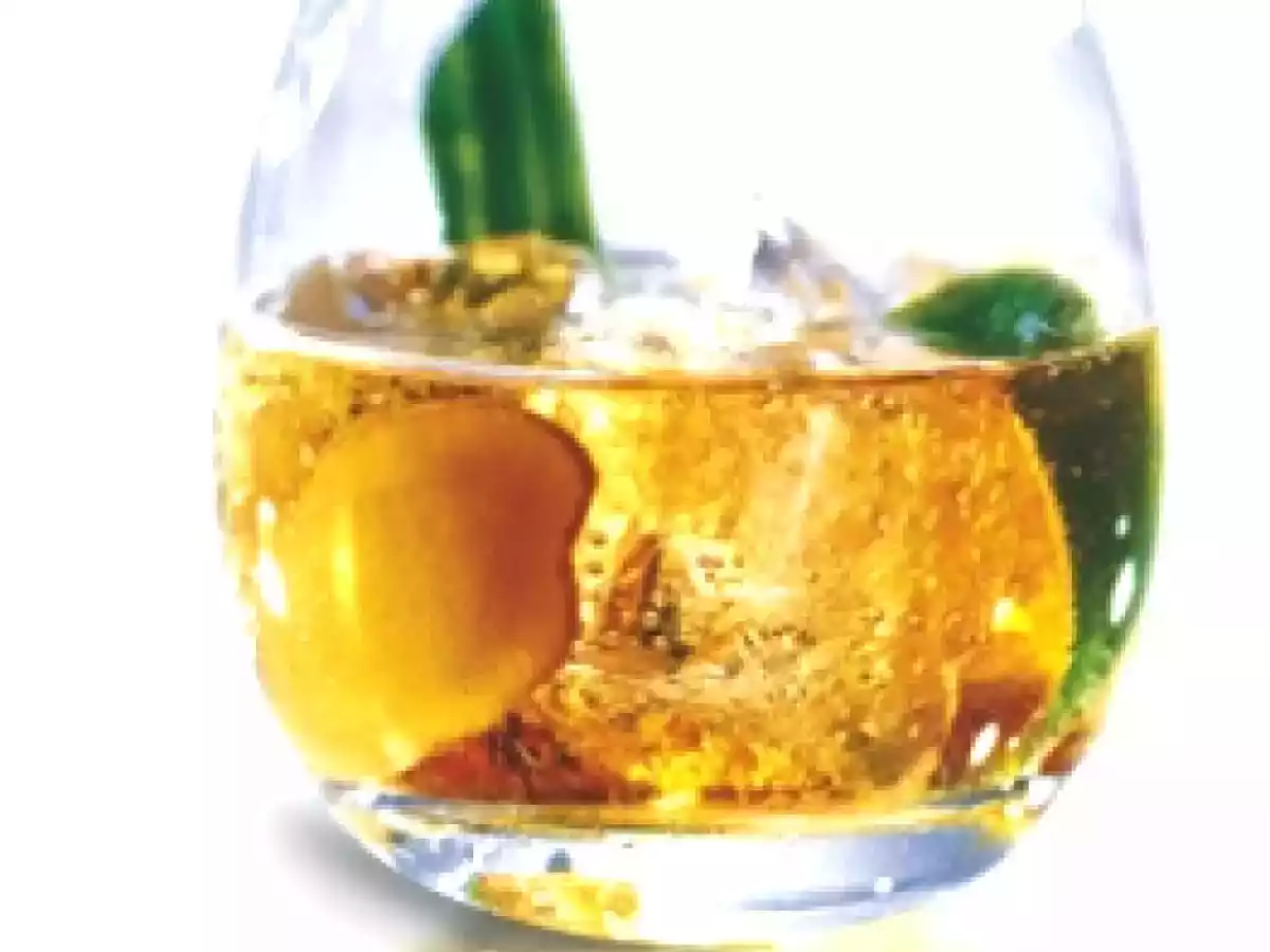 Cocktail Cognac Summit élu meilleur cocktail 2009