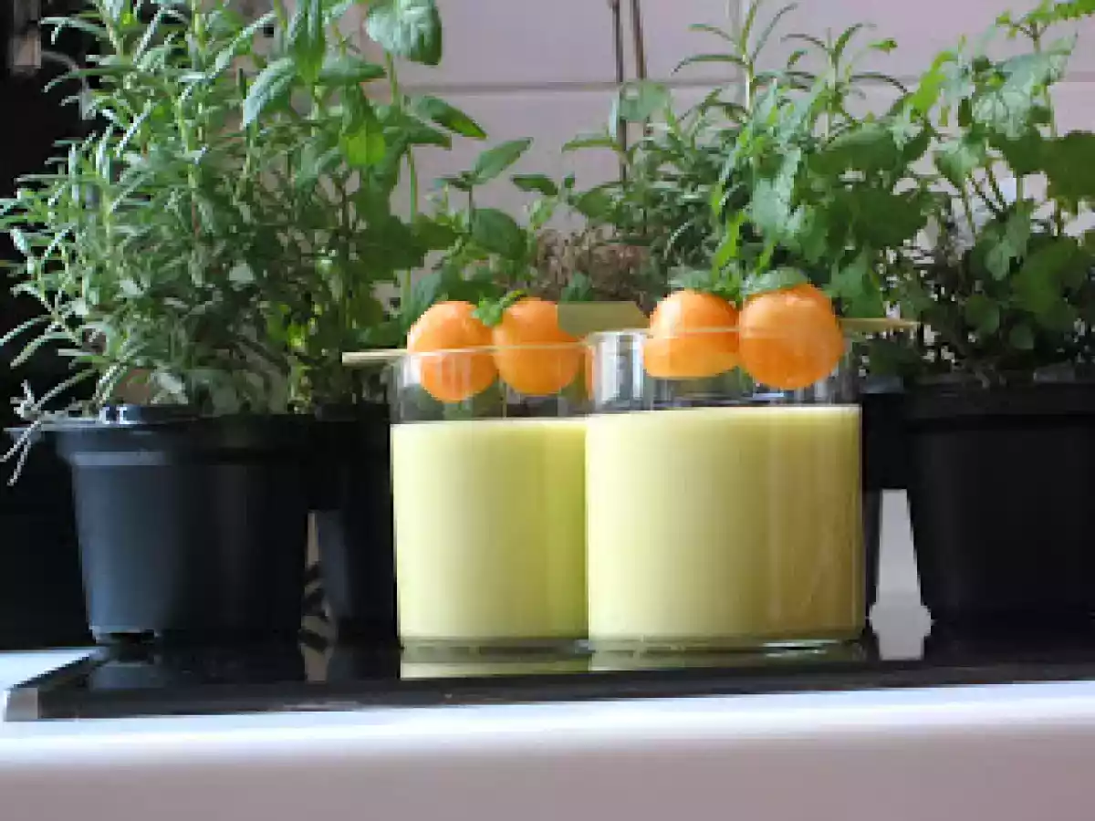 Cocktail de fruits... pardon, Smoothie ! - photo 3