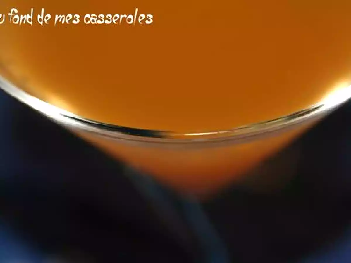 Cocktail des quais du Rhône