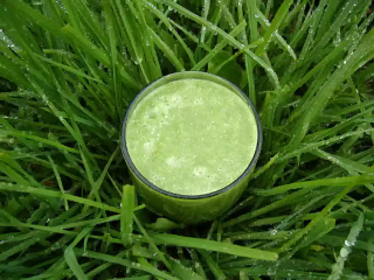 Cocktail ensoleillé pour matin pluvieux