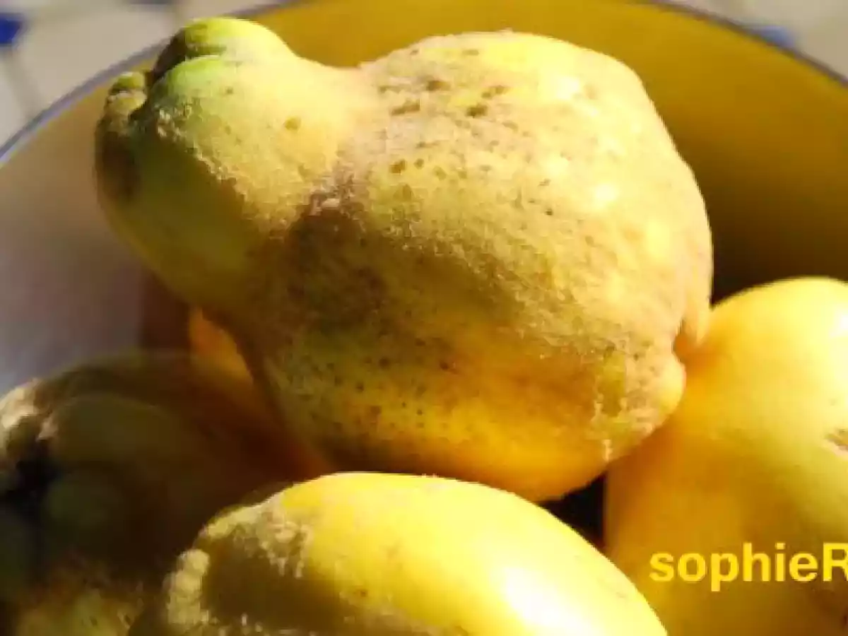 Coings au four - photo 2