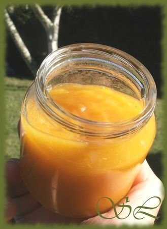 Compote D Abricots Pour Les Bebes Recette Ptitchef